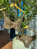 Empreinte ALIX Bronze Collection – styled view
