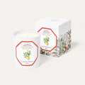 Citrus Syracusis Siracusa Lemon Scented Candle 185g